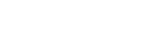 Artist Portfolios